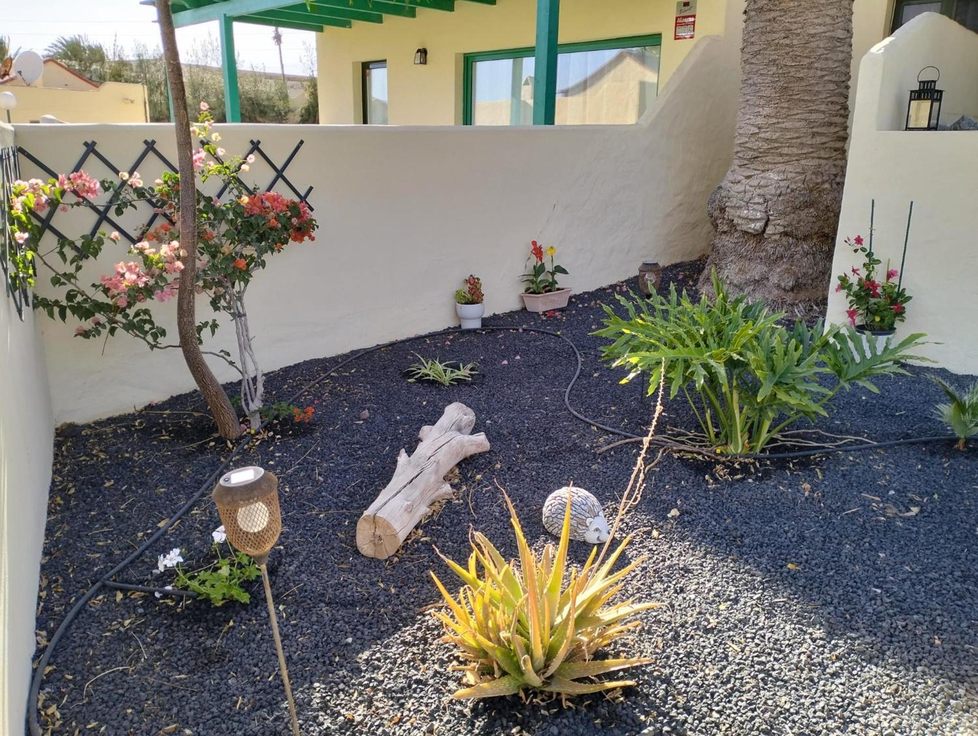 Montes Blancos Apartamento Costa Calma Exterior foto